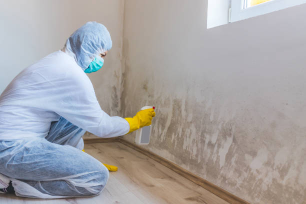 Hvac And Air Duct Mold Remediation inspection of HVAC system in Zeeland